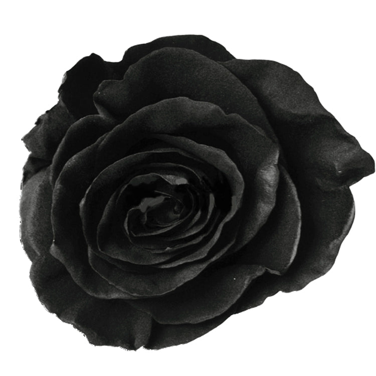 Painted Rose