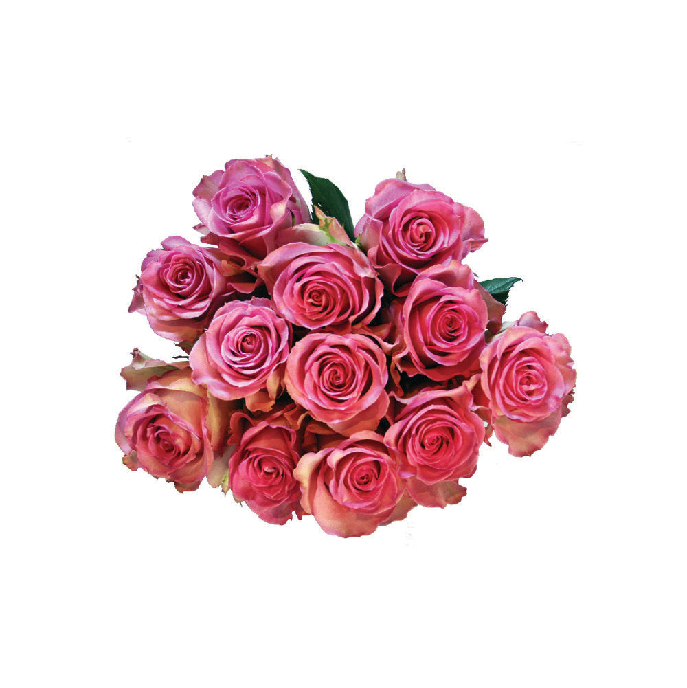 ROSE Sweet Unique