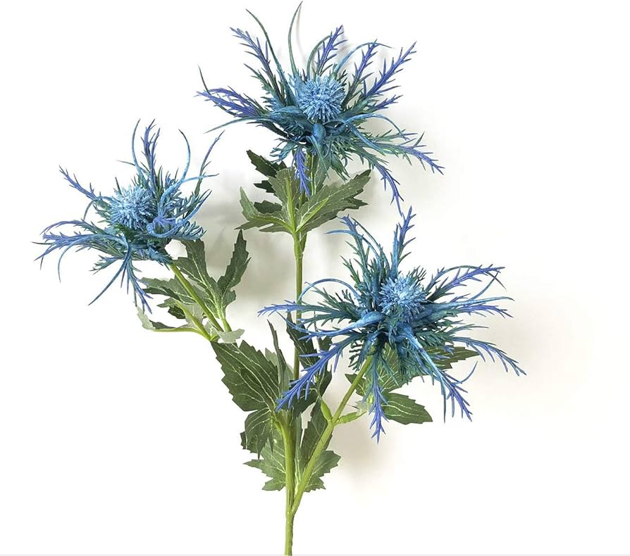 ERYNGIUM AZURE
