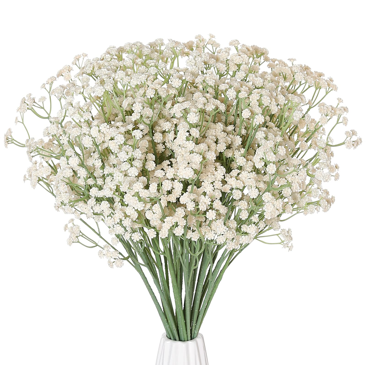 GYPSOPHILA
