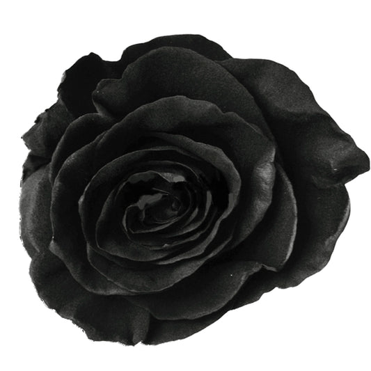 Painted Rose