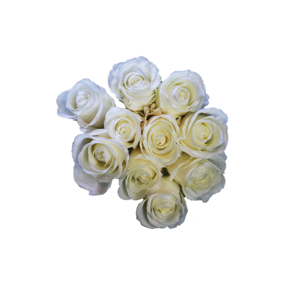ROSE Tibet