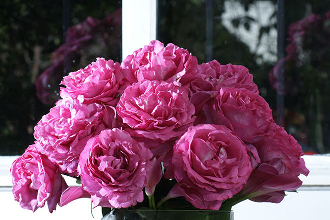 YVES PIAGET® (Meivildo)