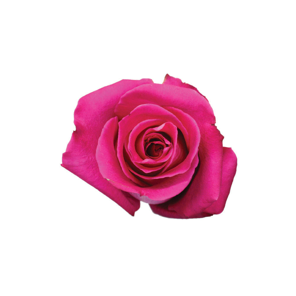 ROSE Topaz