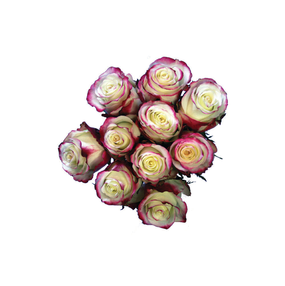 ROSE Sweetness
