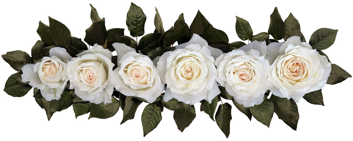 PRINCESS MIYUKI® (FIRST SNOW)